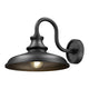 RLM 1-Light Outdoor Wall Light