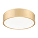 Coronado 1-Light Flush Mount
