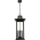Tiberius 6-Light Outdoor Pendant