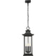 Tiberius 4-Light Outdoor Pendant