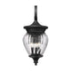 Davina 4-Light Outdoor Wall Light