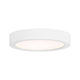 5" LED Flush Mount