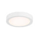 5" LED Flush Mount