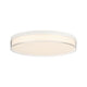 Clarion 13" 5CCT LED Acrylic Ceiling Light