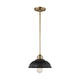 Dustin One Light Pendant