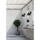 Maddox 1-Light Wall Sconce