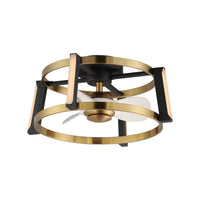 Darling 24" Wifi-Enabled LED Fandelight