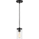 Zire One Light Mini Pendant