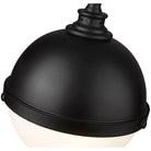 Z-Lite - Peyton 11" 2-Light Pendant - Lights Canada