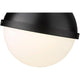 Z-Lite - Peyton 15" 2-Light Pendant - Lights Canada