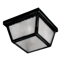Outdoor Essentials 1-Light Outdoor Ceiling Mount
