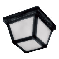 Outdoor Essentials 2-Light Outdoor Ceiling Mount