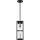 Alcona One Light Outdoor Pendant Lantern