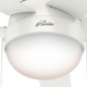 Anslee Low Profile Fan with Light 46"