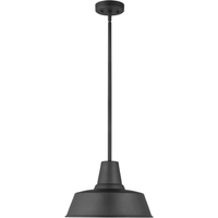 Barn Light One Light Outdoor Pendant