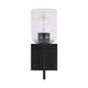 Carter 1-Light Sconce