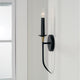 Amara 1-Light Sconce