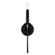 Amara 1-Light Sconce