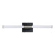 Danika 24" 5CCT LED Vanity Light