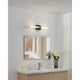 Danika 24" 5CCT LED Vanity Light