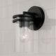 Fuller 1-Light Sconce