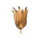 Eden 1-Light Sconce