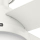 Dempsey Low Profile Fan with Light 52"