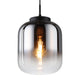 Bulciago 10" 1-Light Pendant