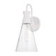 Paloma 1-Light Sconce
