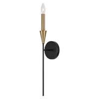 Avant 1-Light Sconce