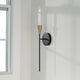Avant 1-Light Sconce