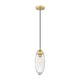 Arden 1-Light Pendant