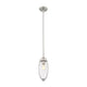 Arden 1-Light Pendant