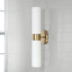Theo 2-Light Sconce