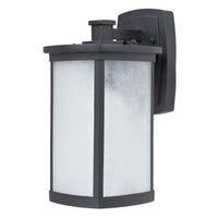 Terrace LED 1-Light Medium Outdoor Wall
