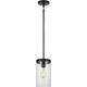 Zire One Light Pendant