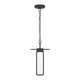 Florin 15" LED Outdoor Pendant