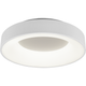 Girona 1-Light Ceiling Lamp