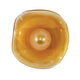 Embark 16"H Sconce