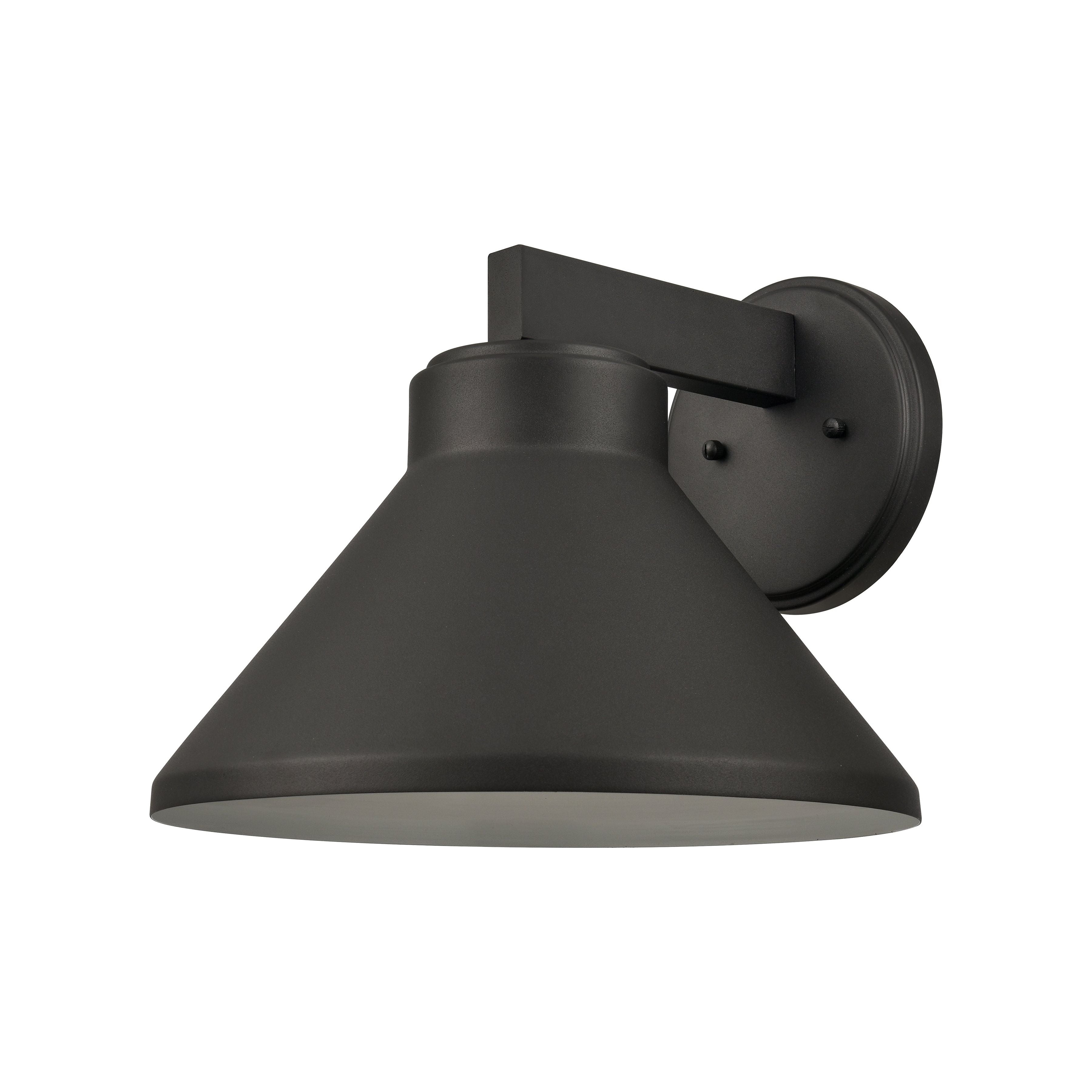 Thane 10" High 1-Light Outdoor Sconce