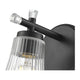 Belle 1-Light Wall Sconce