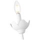 Allistair 1-Light Wall Sconce