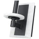 Kaden 1-Light Wall Sconce