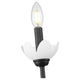 Allistair 1-Light Wall Sconce