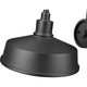 RLM 1-Light Outdoor Wall Light