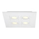 Venue 4-Light Surface Mount