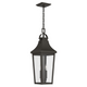 Cleary 24.75" 2-Light Outdoor Pendant