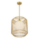 Pastis 1-Light Pendant