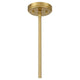 Pastis 1-Light Pendant