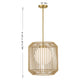 Pastis 1-Light Pendant